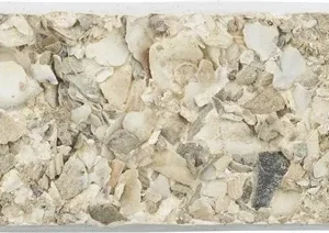 Trixie Piksteen met Schelpen Mineralen en Mosselen - 30 gr