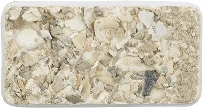Trixie Piksteen met Schelpen Mineralen en Mosselen - 30 gr