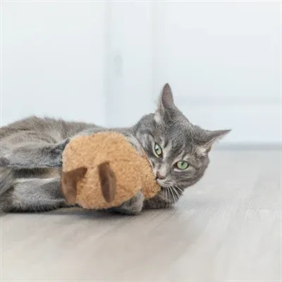 Trixie Pinda Xxl Pluche Met Amerikaanse Catnip 20 Cm - Image 2