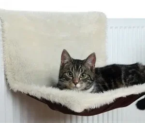 Trixie Radiatorhangmat Pluche Velours - 5 kg