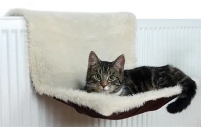 Trixie Radiatorhangmat Pluche Velours - 5 kg