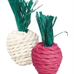 Trixie Radijs en Rettich met Stro 8 cm 2 St