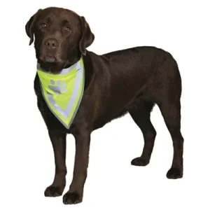 Trixie Reflecterende Bandana 29 42 cm 2 St - S