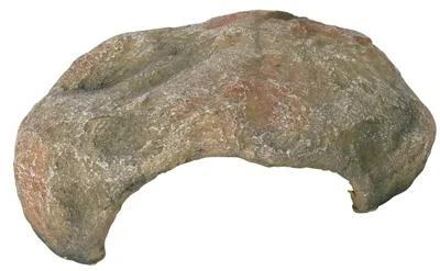 Trixie Reptiland Reptielen Schuilplaats 30x25x10 cm