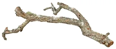 Trixie Reptiland Tronchos Kurktakken Mix - 1 kg