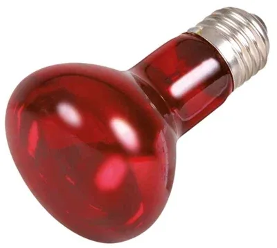 Trixie Reptiland Warmtelamp Infrarood 50 Watt 6,3x6,3x10 cm - Image 2