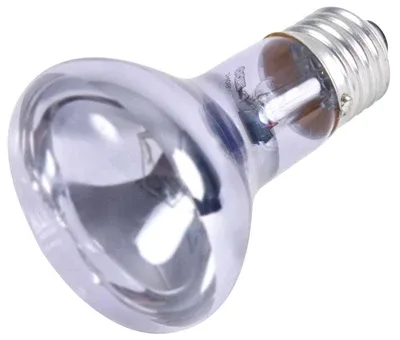 Trixie Reptiland Warmtelamp Neodymium 75 Watt 6,3x6,3x10 cm 3 St