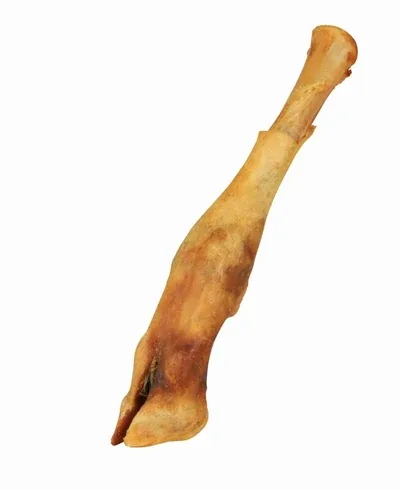 Trixie Schapenonderbeen Gedroogd 16 18 cm 16 18 cm 20 St