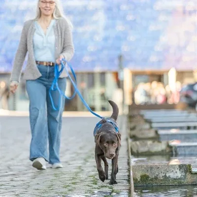 TRIXIE SLEEPLIJN EASY LIFE GRIPVAST WATERAFSTOTEND AFWASBAAR BLAUW - Image 2