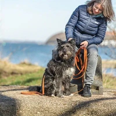 TRIXIE SLEEPLIJN MET RUBBER BEKLEED ZONDER HANDLUS ORANJE - Image 2
