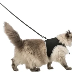 Trixie Softtuig Kat met Riem 36 54 cm 120 cm 2 St - Zwart