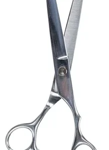 Trixie Vachtschaar Professioneel 20 cm 2 St