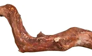Trixie Zitstok Schorshout 25x1,5 2,5cm 3st