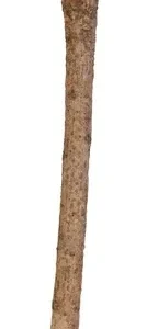 Trixie Zitstok Y Vorm Schorshout 35x1,8cm 3st