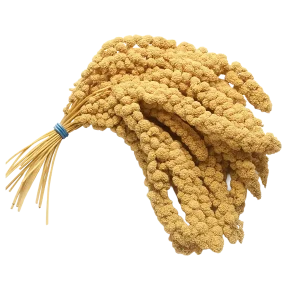 Trosgierst 500 gram