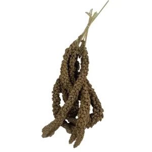 Trosgierst Chinees - 15 kg