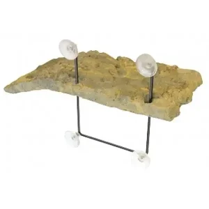 Turtle Dock