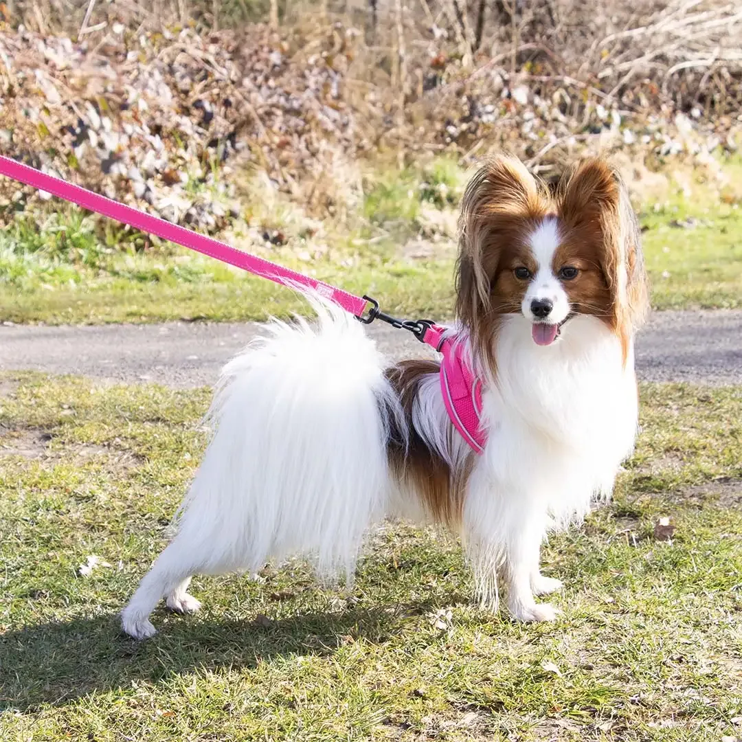 Ultimate fit kleine hond harnas XXXS – 26-30cm roze - Image 2