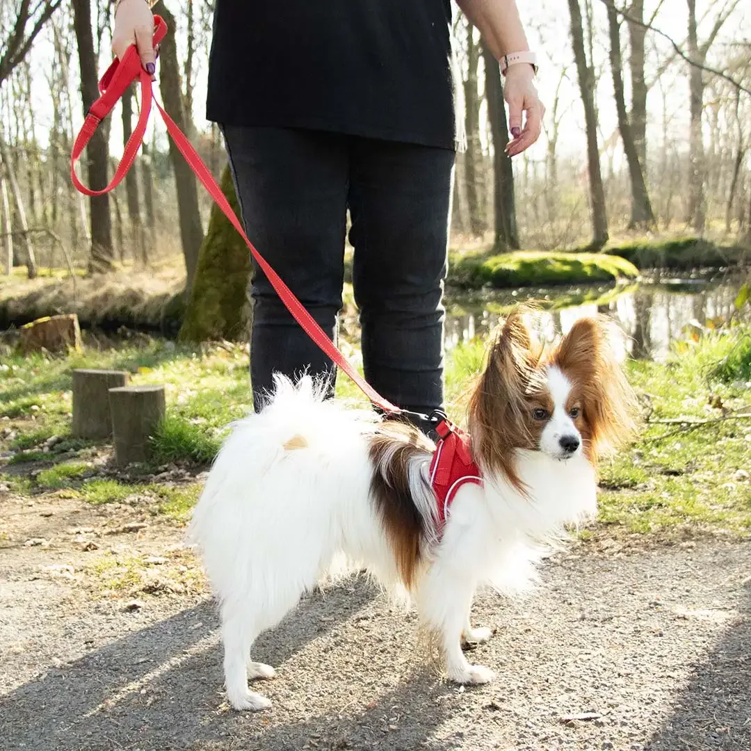 Ultimate fit kleine hond leiband 160cm – 12mm rood - Image 2