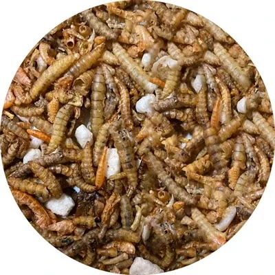 Utopia Insectenmix - 500 gr - Image 2