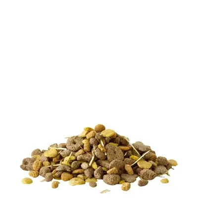 Versele Laga Crispy Snack met Vezels - 550 gram - Image 2