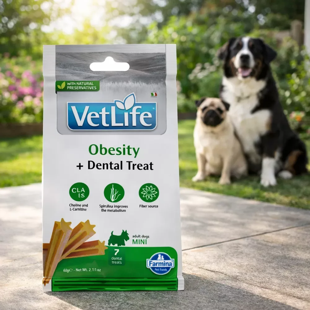 Vet Life Dental Treats Obesity - Image 2