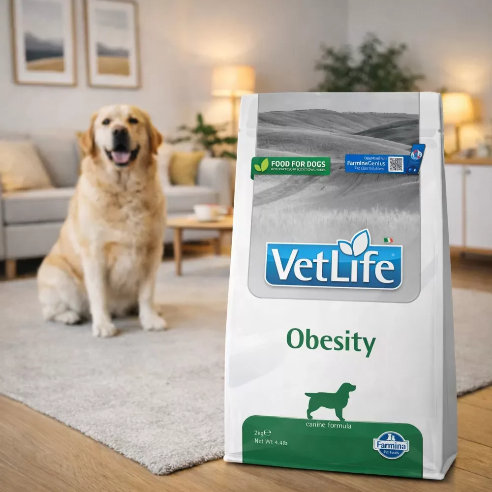 Vet Life Dog Obesity - Image 2
