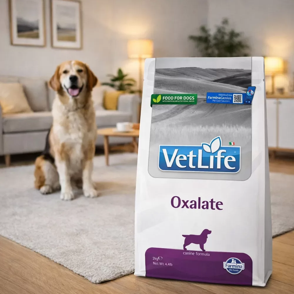 Vet Life Dog Oxalate - Image 2