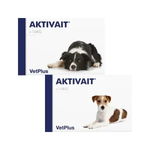 Vetplus Aktivait
