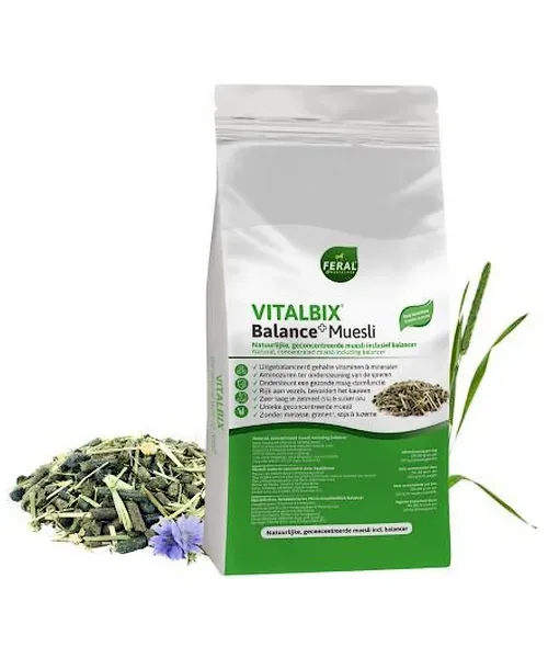 Vitalbix Balance+ Muesli