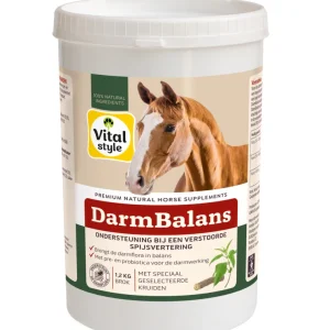 Vitalstyle DarmBalans - 4 Kilogram - Zak