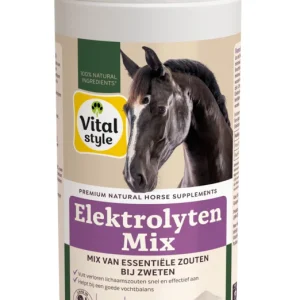 Vitalstyle Elektrolytenmix - Supplement - 1 Kilogram
