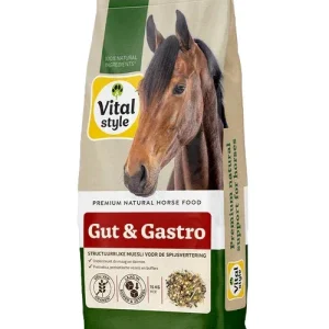 VitalStyle Muesli Gut & Gastro