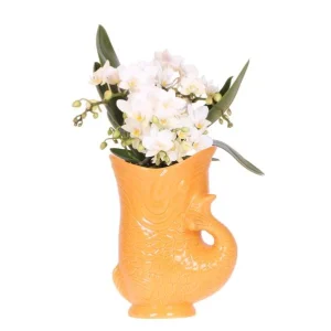 Vlinder Orchidee Nazaré in Fish Pot Oranje