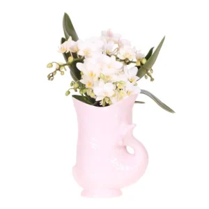 Vlinder Orchidee Nazaré in Fish Pot Roze