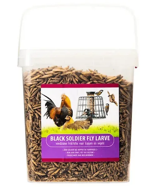 Voerwaarts Black Soldier Fly (aanvullend diervoeder)