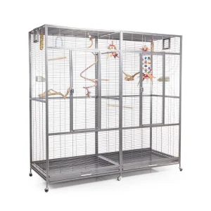 Vogelkooi Sydney 2 platinum