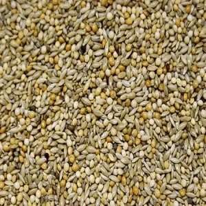 Vogro Afrikaanse Prachtvinken (met extra panicum en japans millet)