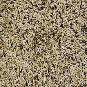 Vogro ECO! Kanarie Postuurzaad (eigen samenstelling)