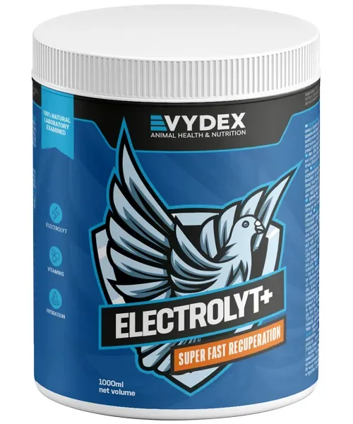 Vydex Electrolyt + (voor super snel herstel)