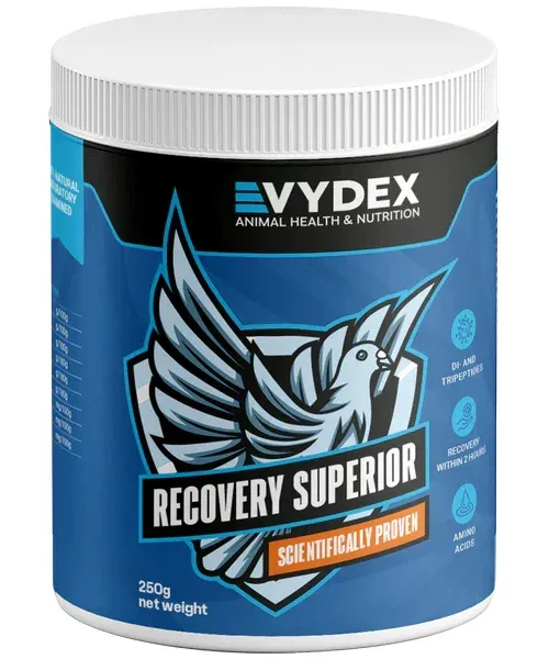 Vydex Recovery Superior