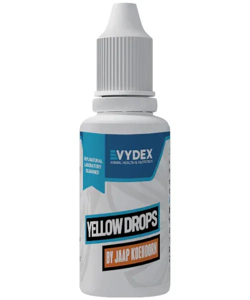 Vydex Yellow Drops (tegen het Geel en het Snot)