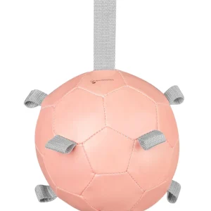 Waldhausen - Wortelbal - 鈱€ 18 cm - Misletoe groen