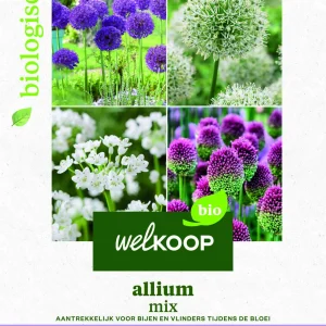 Welkoop Biologisch Allium mix - Bloembollen