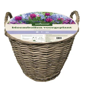 Welkoop Bloembollen mix - in Mand