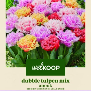 Welkoop Dubbele Tulpen mix Anouk - Bloembollen
