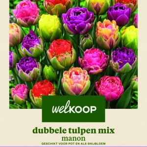 Welkoop Dubbele Tulpen mix Manon - Bloembollen