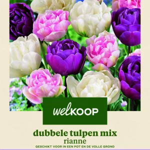 Welkoop Dubbele Tulpen mix Rianne - Bloembollen