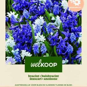 Welkoop Hyacint Blauwe druifjes Anemone Biodiversiteit - Bloembollen
