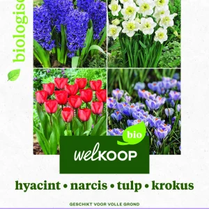 Welkoop Hyacint Narcis Tulp Krokus Biologisch - Bloembollen